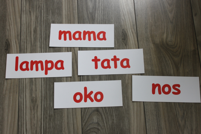 The Doman method with daddy- whole-word reading in the Polish language (Maja is 12 months old